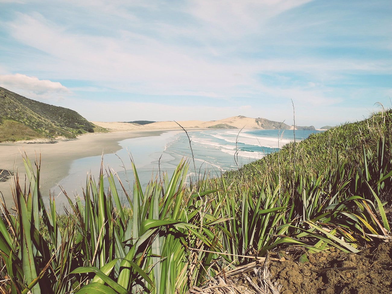 Amazing beach at the northern tip of New Zealand.