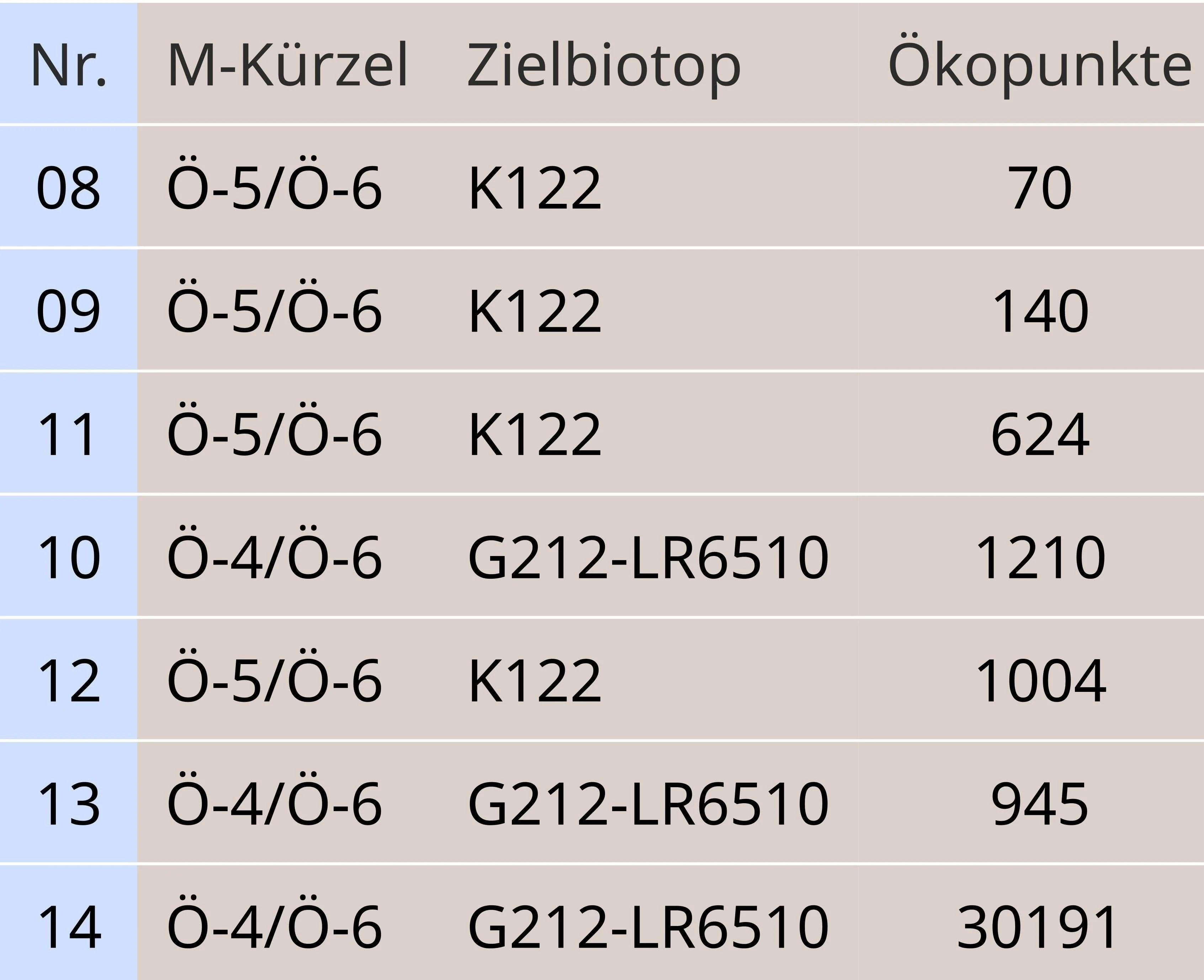 Referenzen Leistungen Ökokonto BayKompV Bilanzierungstabelle